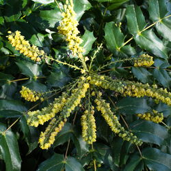 Frühlingsimpressionen